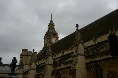 DSC_5631 (Large).JPG